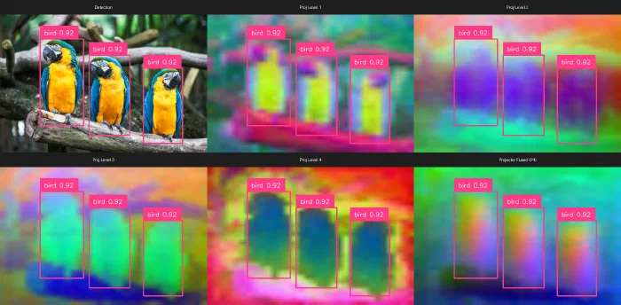 Six panels: the detection with three macaws boxed, four projector pyramid levels rendered as colour, and the fused output