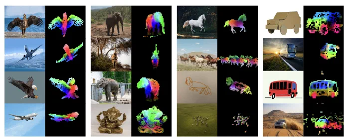 Four columns of images with their PCA renderings beside them: birds and planes, elephants, horses, and vehicles, each column sharing a consistent colour scheme